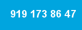 919 173 86 47